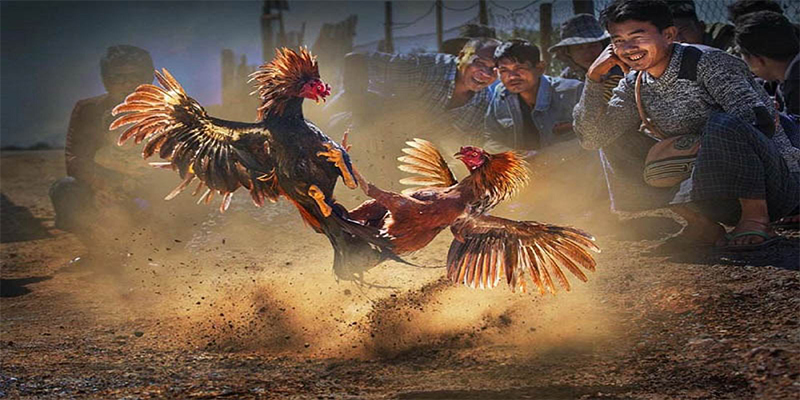 14winvn chơi bắn cá đổi thưởng