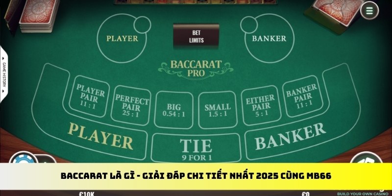 14winvn gà chọi cu cần