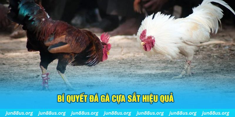 14winvn xin 1 slot là gì
