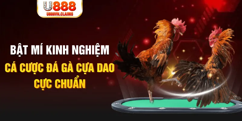14winvn tỷ lệ cá cược châu á là gì