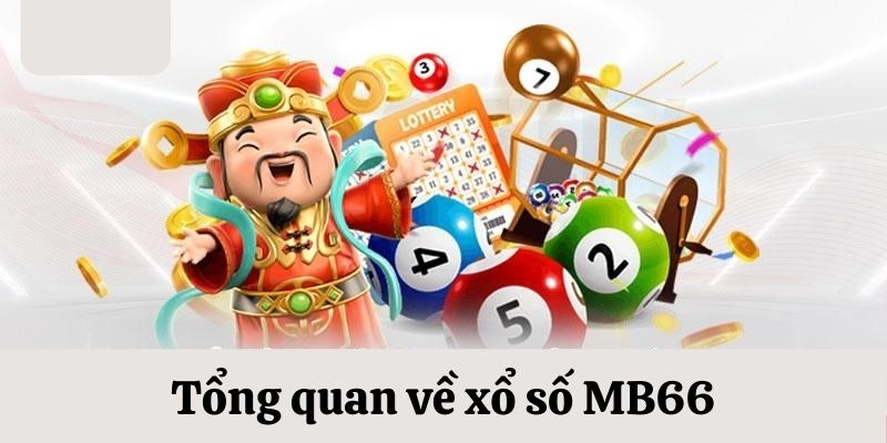 14winvn da ga