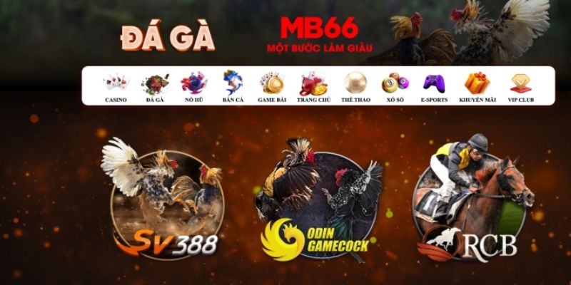 14winvn đăng nhập poker số 1