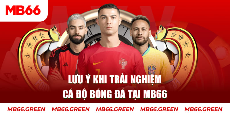14winvn cá cược là gì
