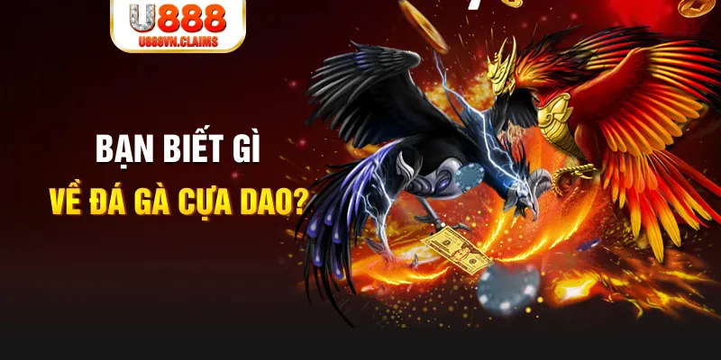 14winvn nổ hủ là gì