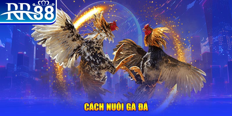 14winvn xổ số an giang