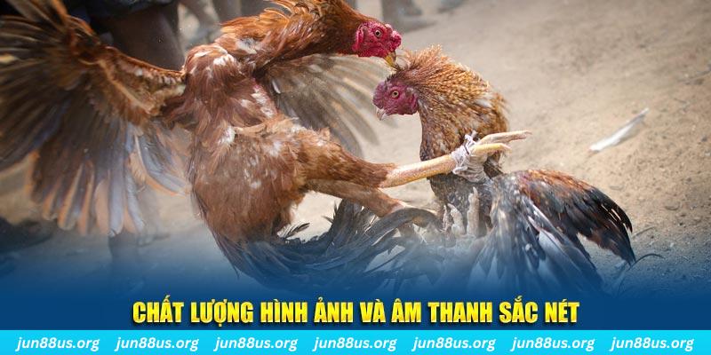 14winvn đăng nhập roulette live