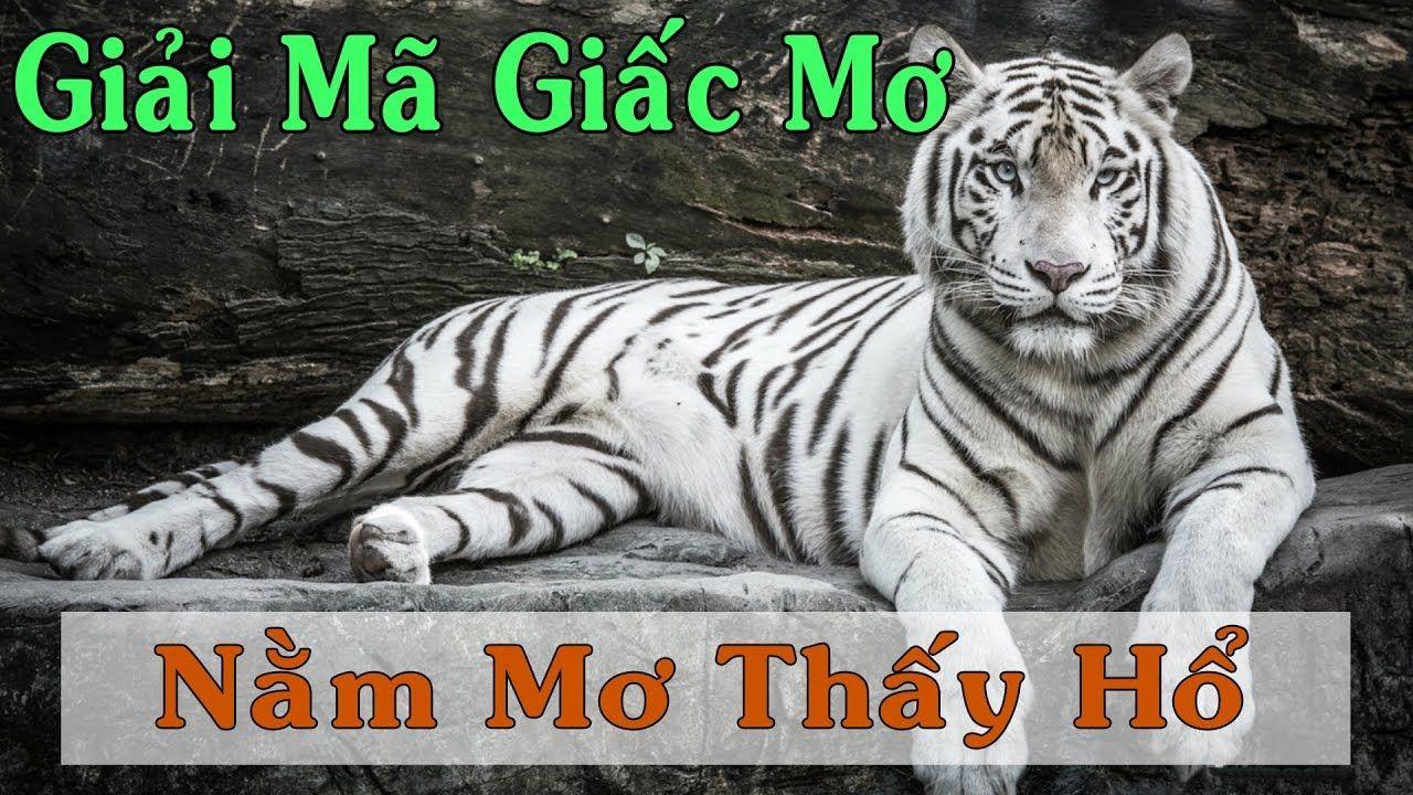 14winvn WM Trực Tuyến