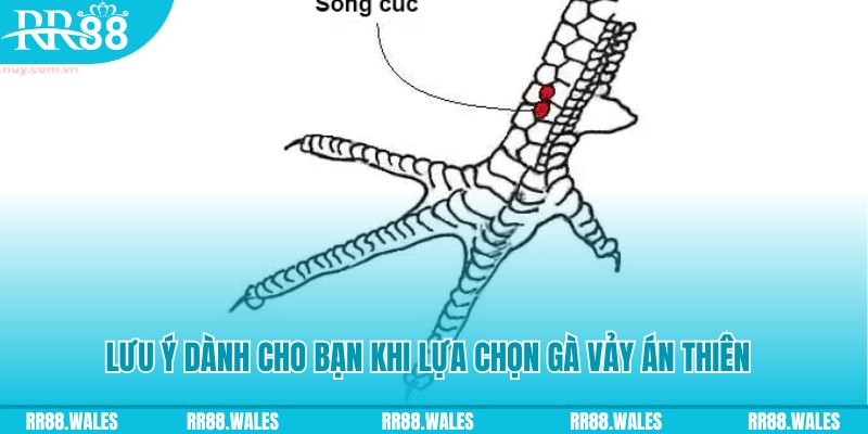 14winvn xổ số đồng nai