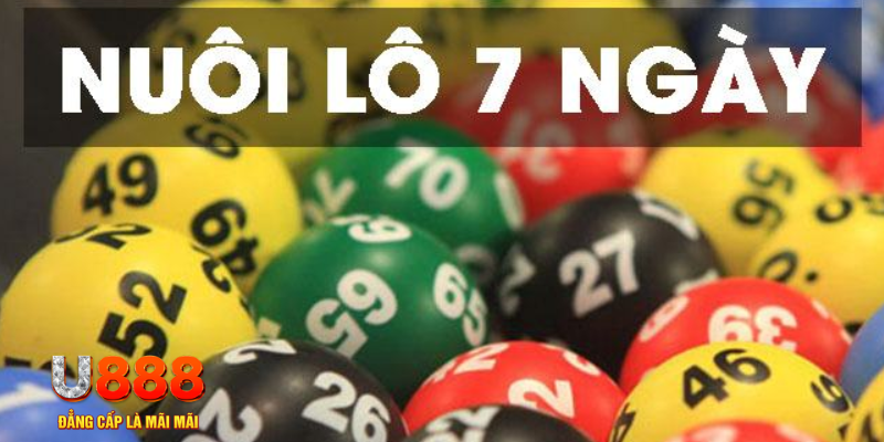 14winvn slot là j