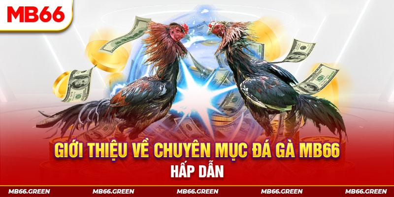14winvn đăng nhập sòng bạc đổi thưởng