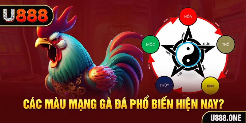 14winvn trực tiếp đá gà 88