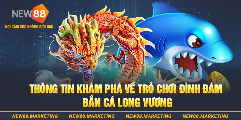 14winvn baccarat lừa đảo như thế nào