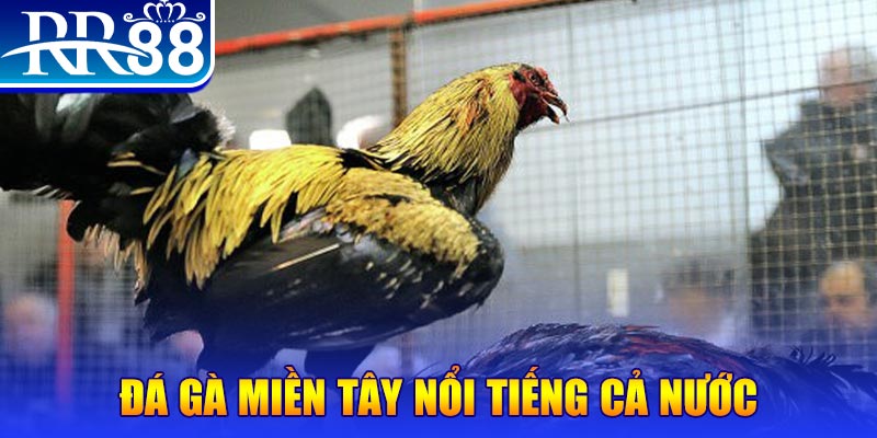 14winvn JILI Game Bài 3d