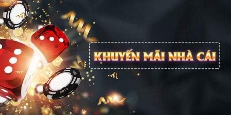 14winvn what is live dealer casino