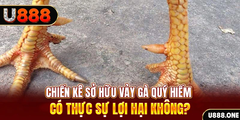 14winvn nohu .mx nổ hủ là gì