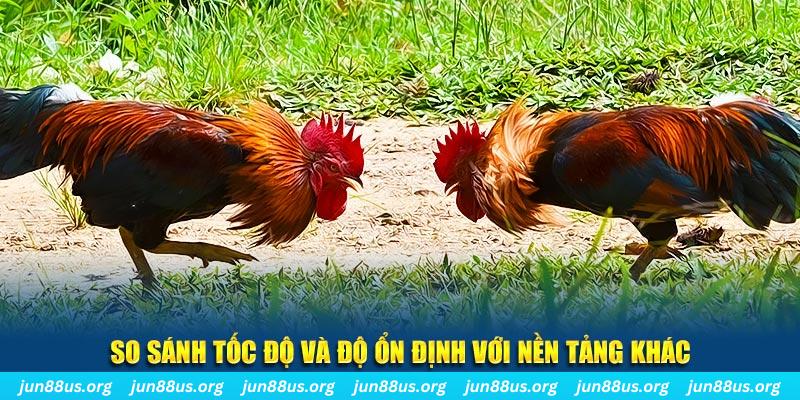 14winvn đá gà hôm nay