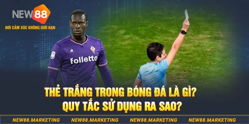 14winvn gà chọi mộc hóa