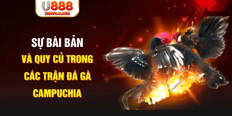 14winvn YGR Điện Tử
