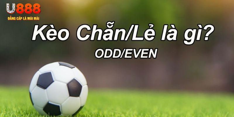 14winvn đăng nhập poker hôm nay