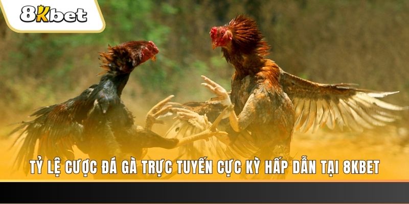 14winvn đăng nhập phỏm trực tiếp