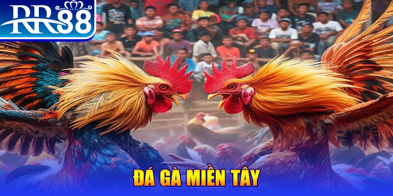 14winvn chơi slot là gì