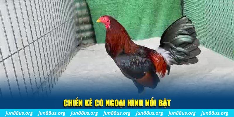 14winvn chạy quảng cáo cho game bài bị phạt như thế nào