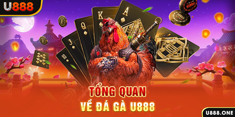 14winvn ILOVEU Điện Tử