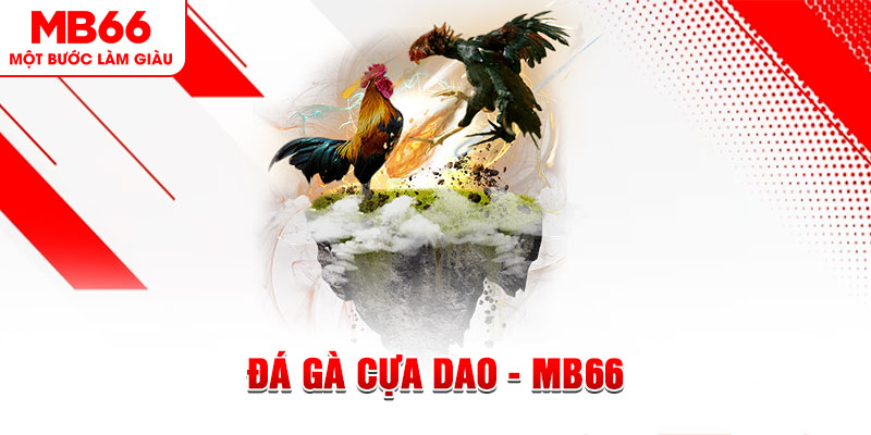 14winvn đá gà sv388 gold