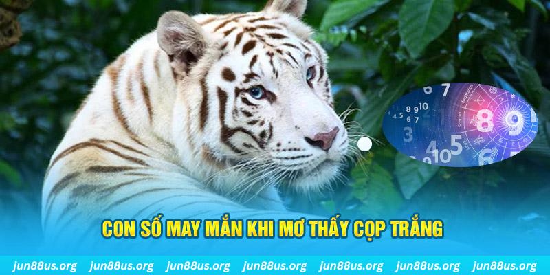 14winvn đá gà trực tiếp 88